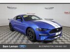 Thumbnail Photo 0 for 2019 Ford Mustang